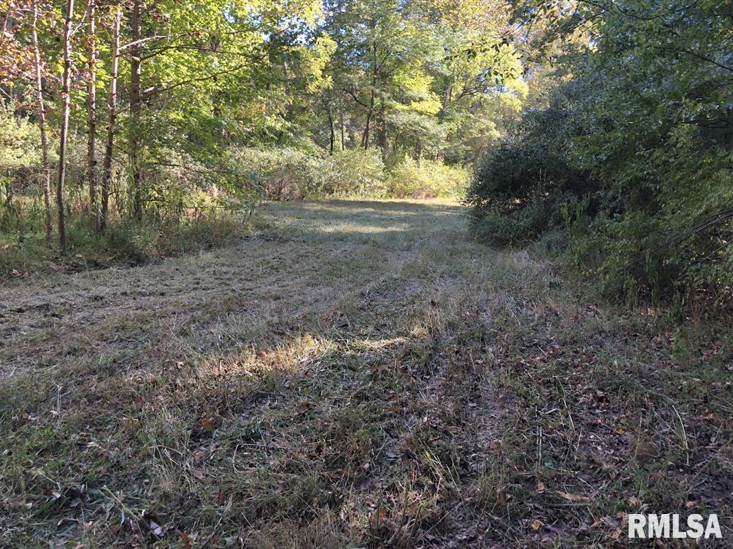 0 Club Road Carbondale, IL 62902 - Photo 5 of 22