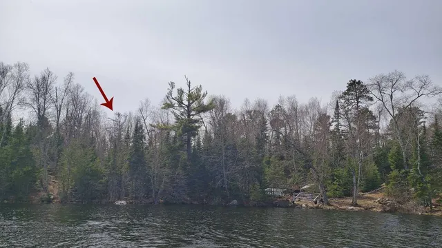 $65,000 | Tbd Tbd Muskego Point, Orr, MN 55771