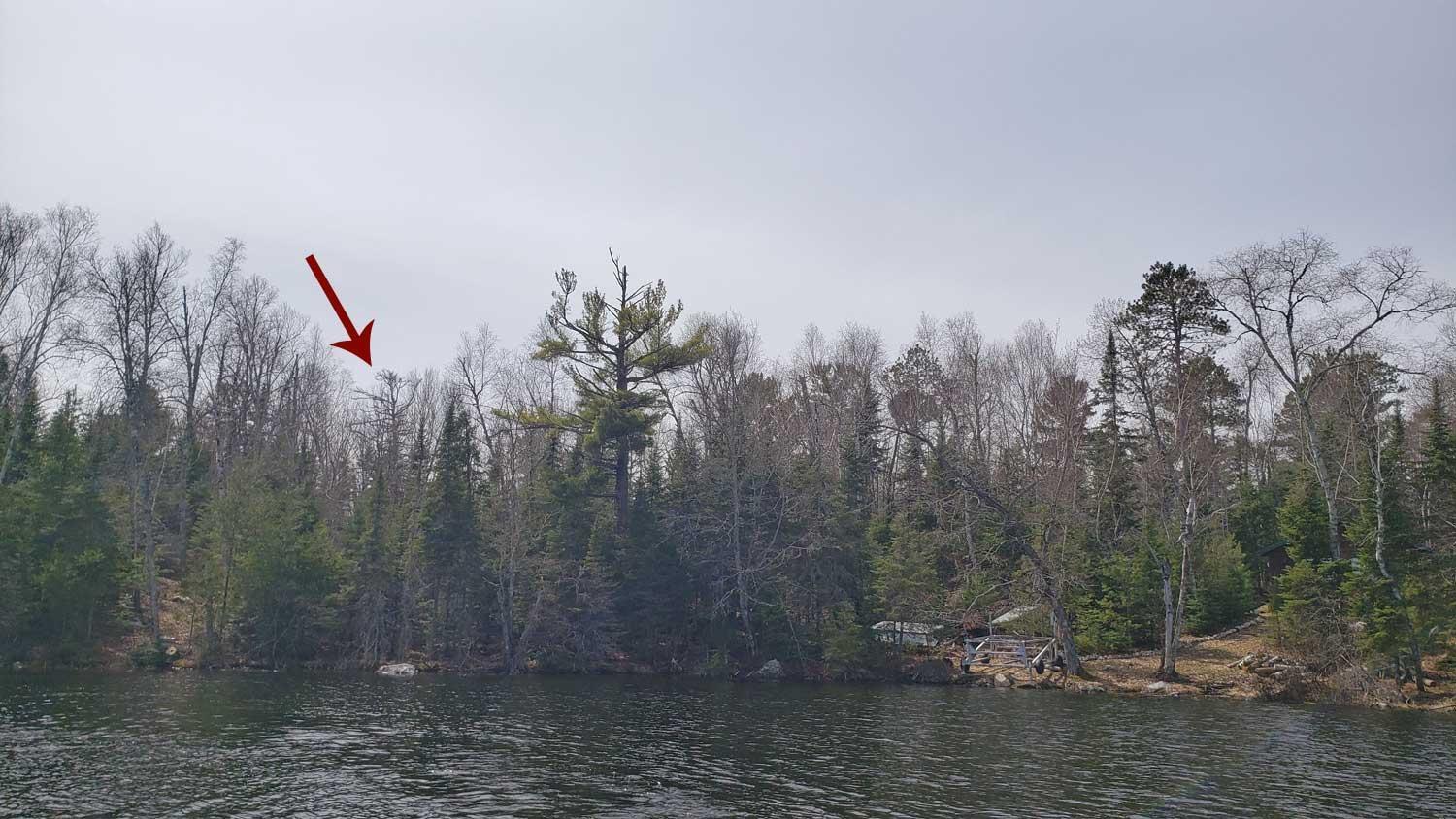 Tbd Tbd Muskego Point Orr, MN 55771 - Photo 2 of 10