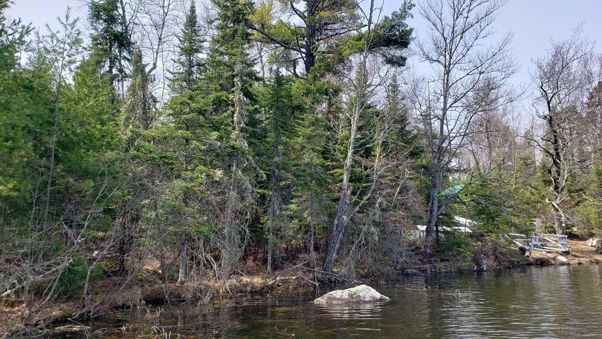 Tbd Tbd Muskego Point Orr, MN 55771 - Photo 3 of 10