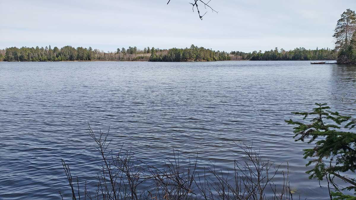 Tbd Tbd Muskego Point Orr, MN 55771 - Photo 4 of 10