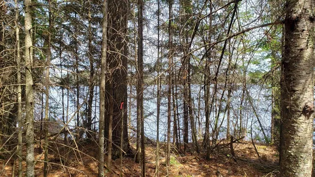 $65,000 | Tbd Tbd Muskego Point, Orr, MN 55771