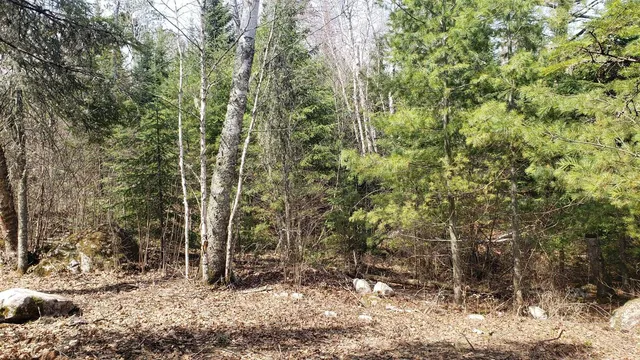 $65,000 | Tbd Tbd Muskego Point, Orr, MN 55771