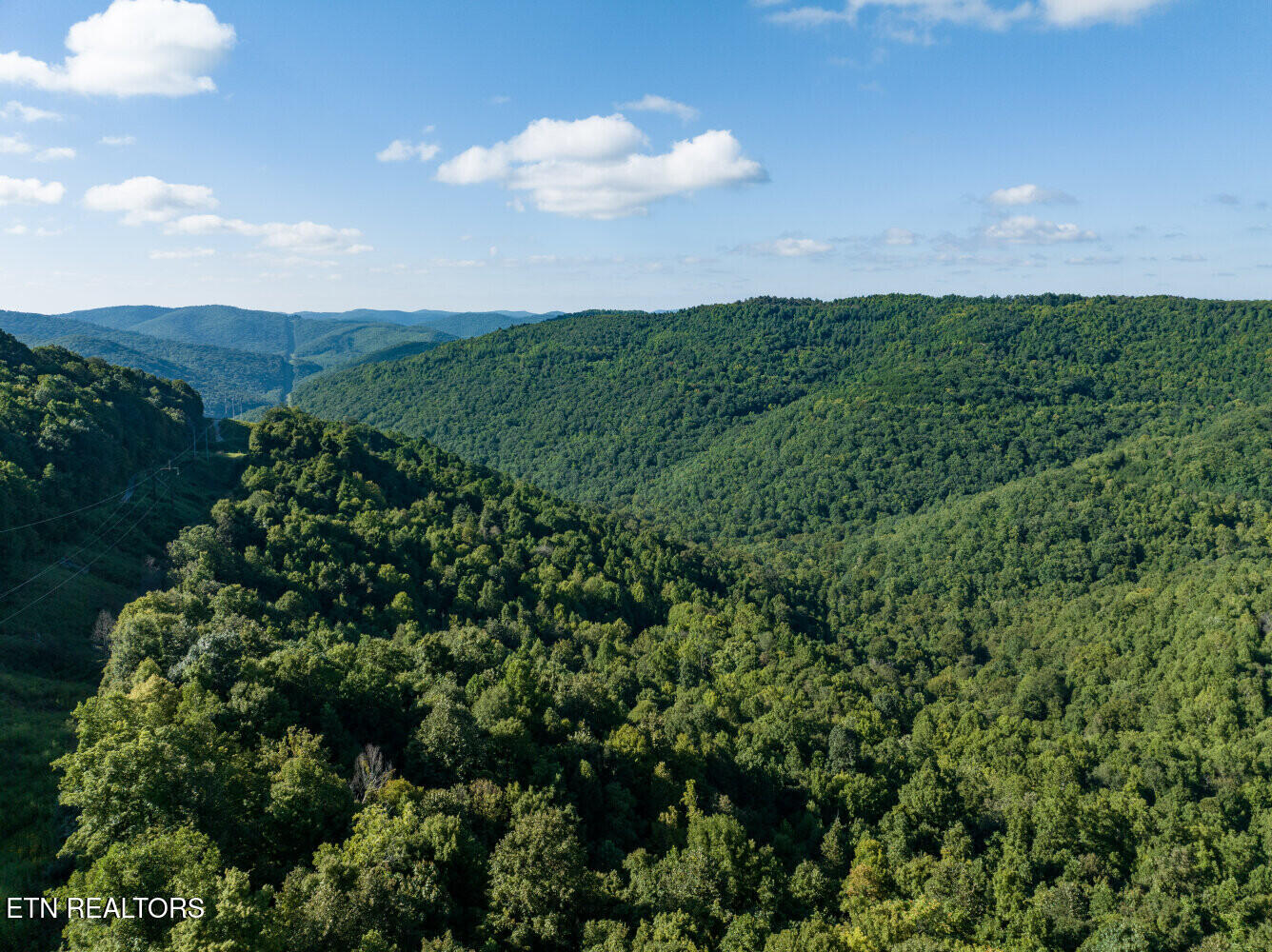 816 Sandy Gap Road Newcomb, TN 37819 - Photo 11 of 17 659a8a49ecf84