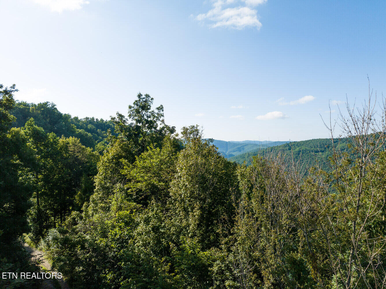 816 Sandy Gap Road Newcomb, TN 37819 - Photo 12 of 17 659a8a4699c9d