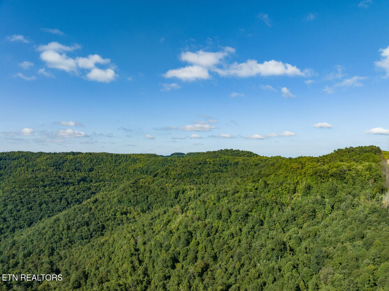 816 Sandy Gap Road Newcomb, TN 37819 - Photo 3 of 17 659a8a4c0e536