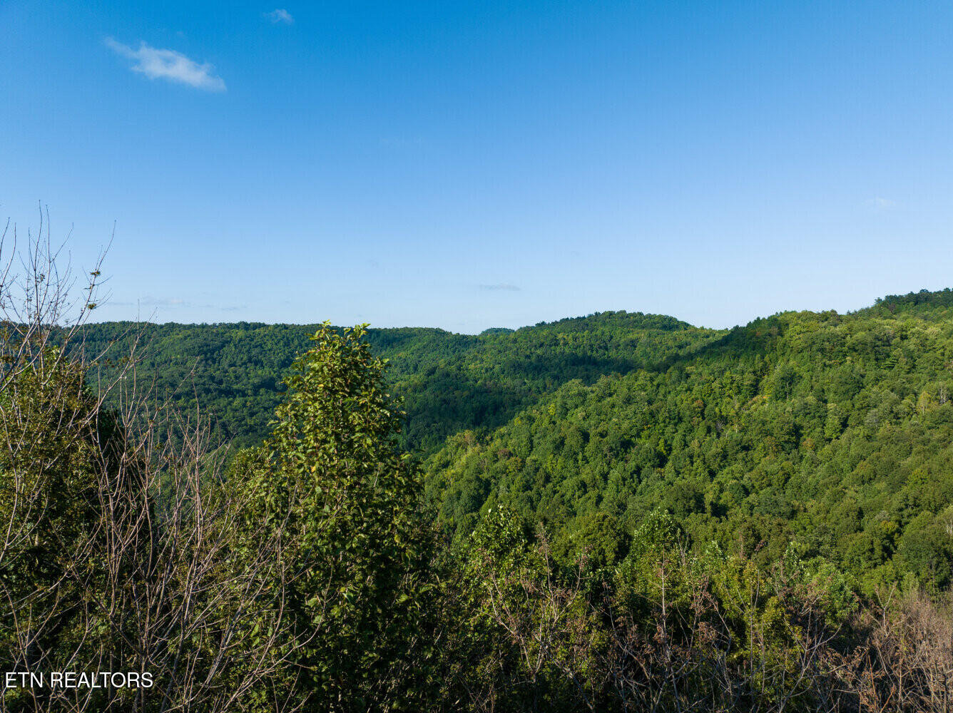 816 Sandy Gap Road Newcomb, TN 37819 - Photo 5 of 17 659a8a4d64c7d