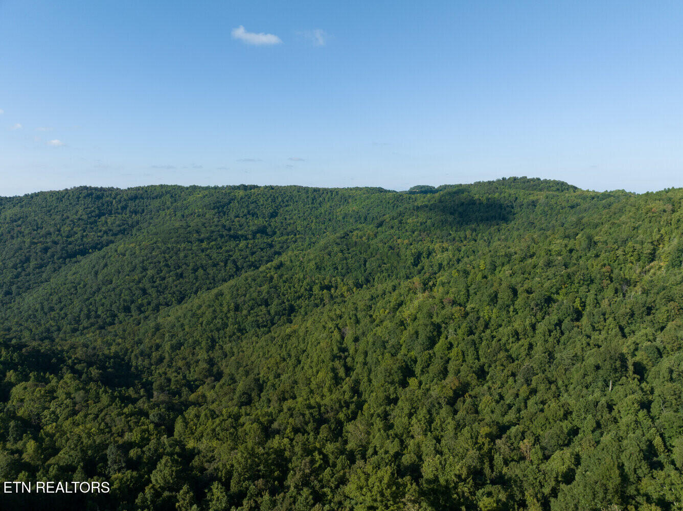 816 Sandy Gap Road Newcomb, TN 37819 - Photo 6 of 17 659a8a4e43369