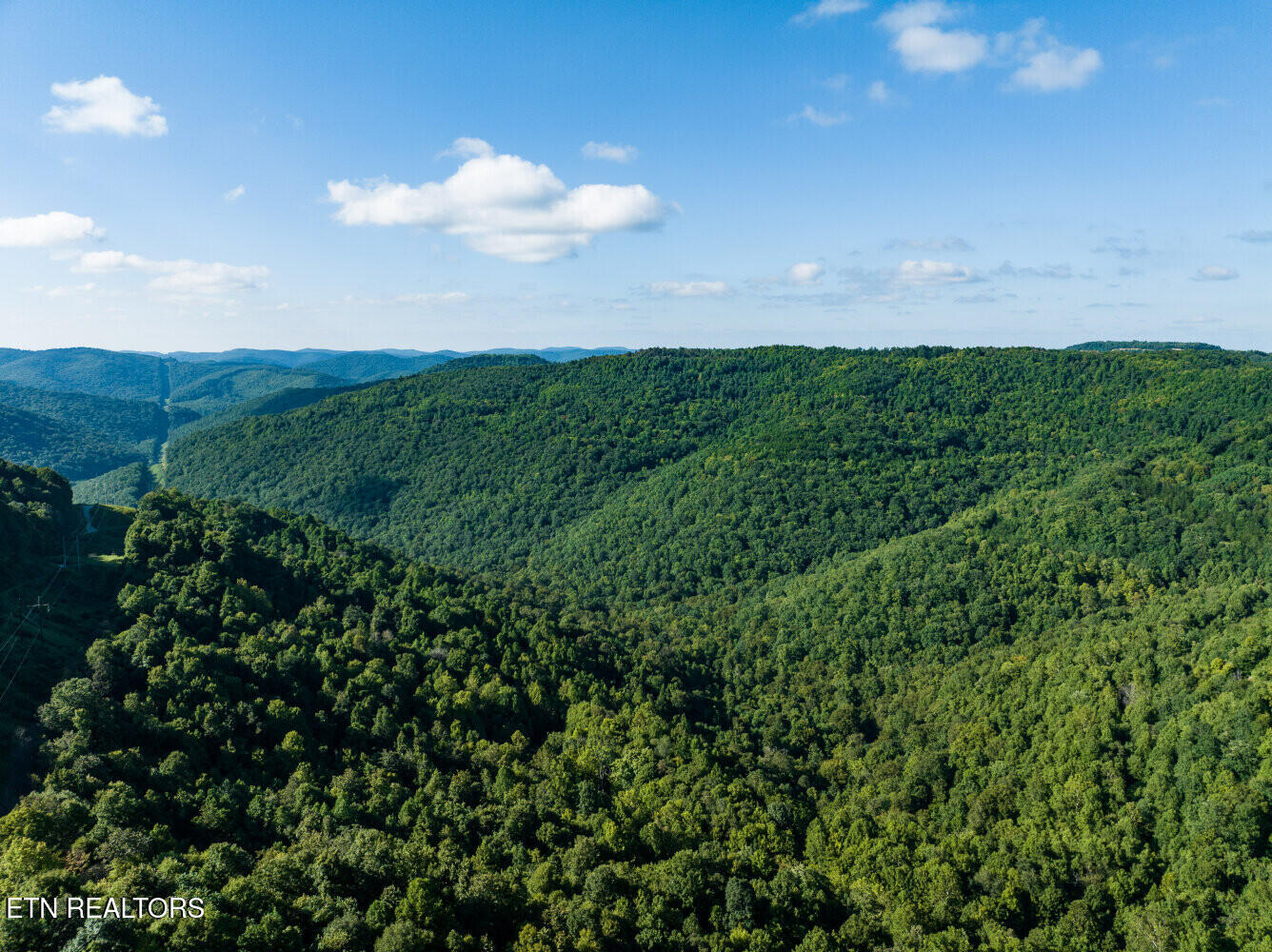 816 Sandy Gap Road Newcomb, TN 37819 - Photo 8 of 17 659a8a4fc3bfa