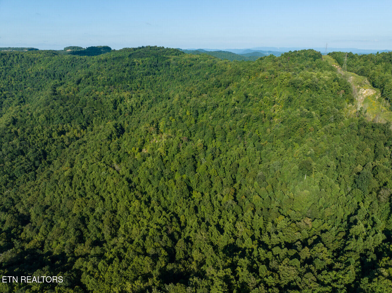 816 Sandy Gap Road Newcomb, TN 37819 - Photo 9 of 17 659a8a47d0bdf