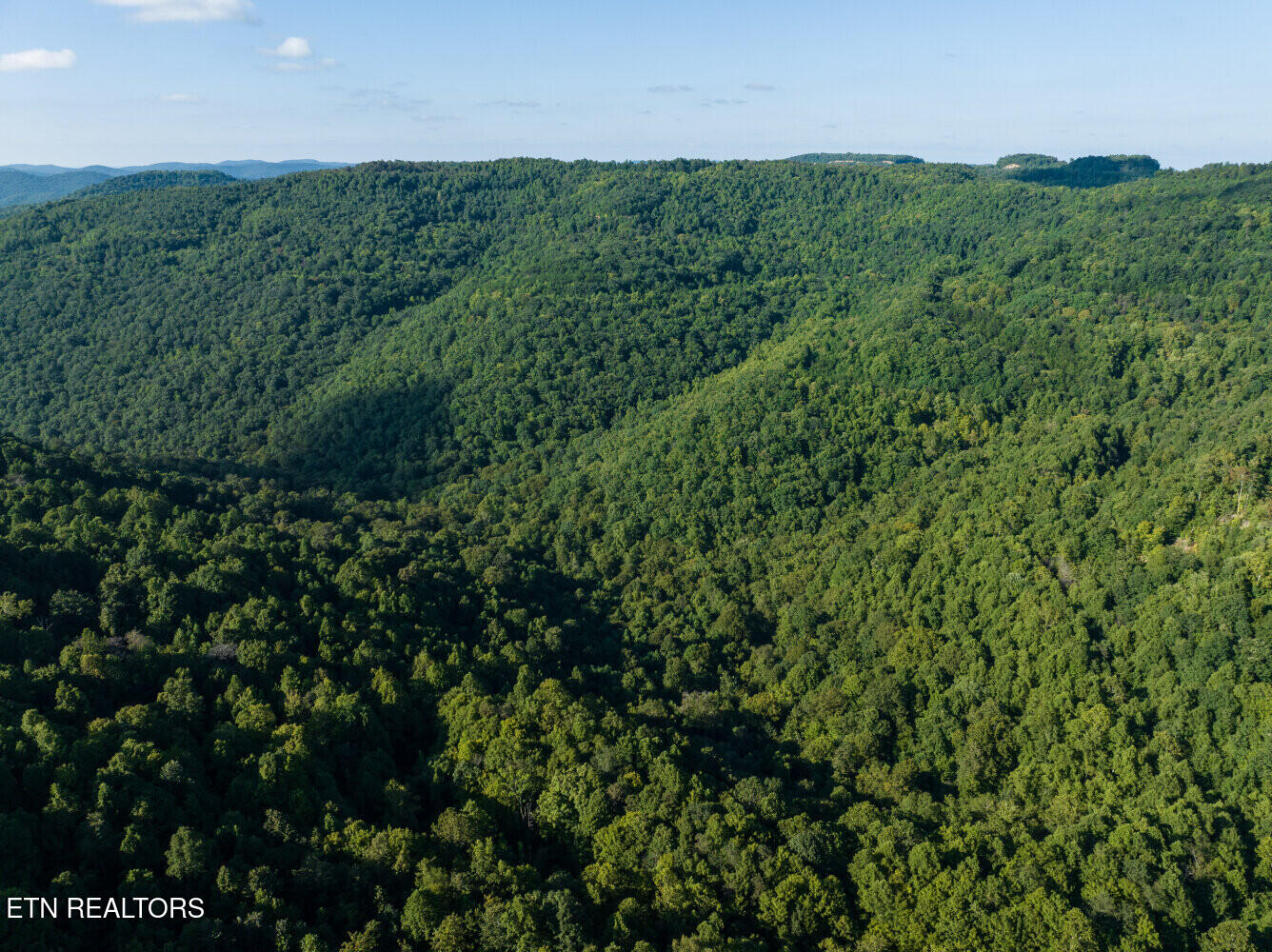 816 Sandy Gap Road Newcomb, TN 37819 - Photo 10 of 17 659a8a48d41b1