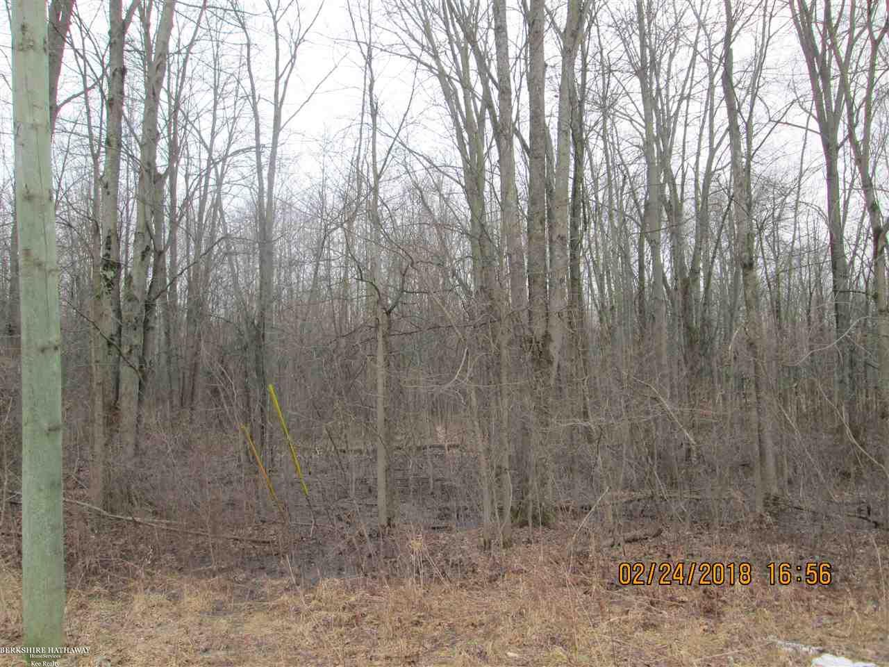 0 Lindsey Road Casco, MI 48064 - Photo 4 of 7