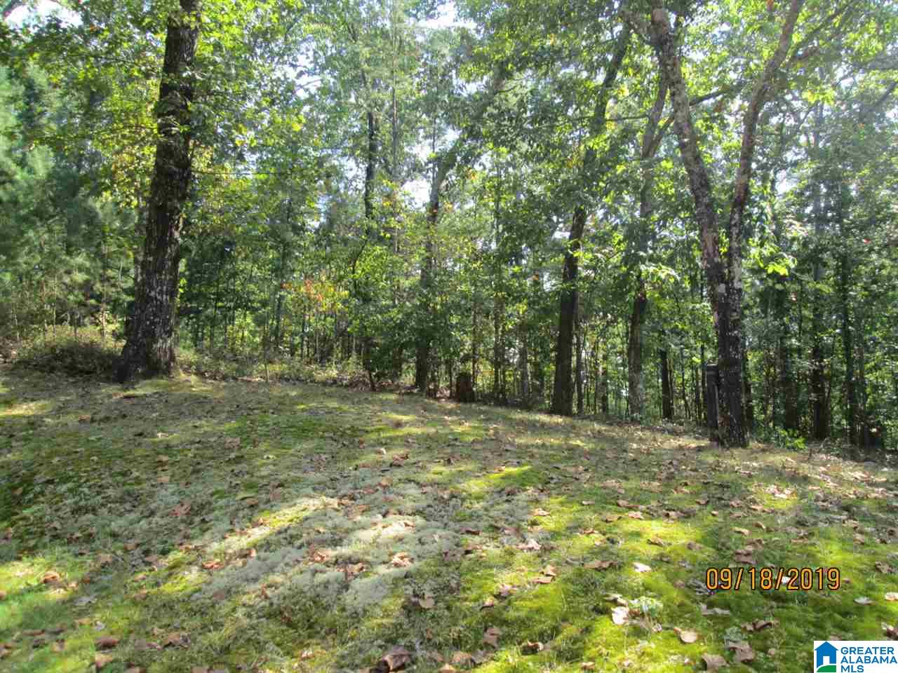 86 Red Valley Circle Remlap, AL 35133 - Photo 8 of 46