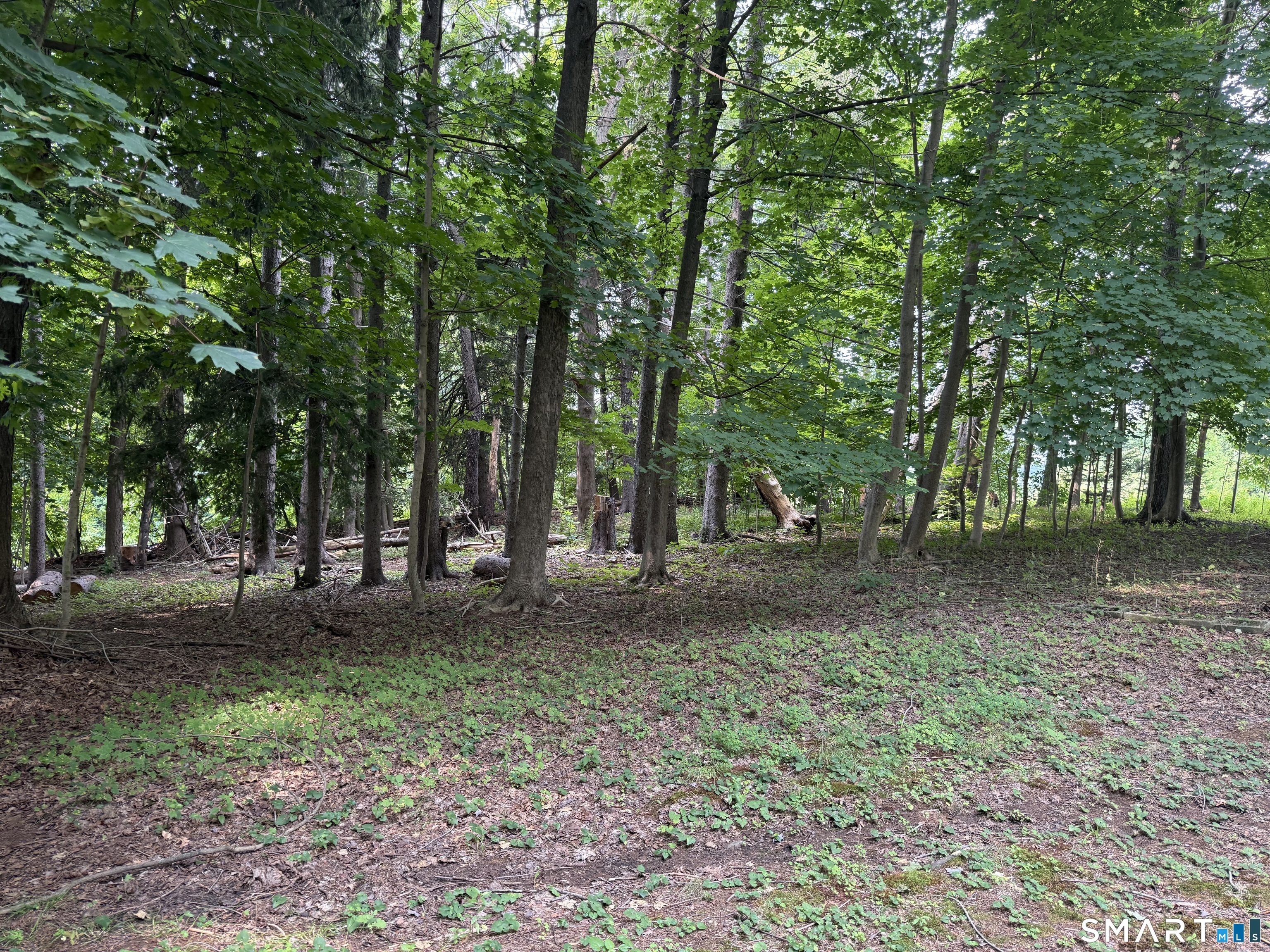 2 Ballfall Road Middlefield, CT 06481 - Photo 4 of 27