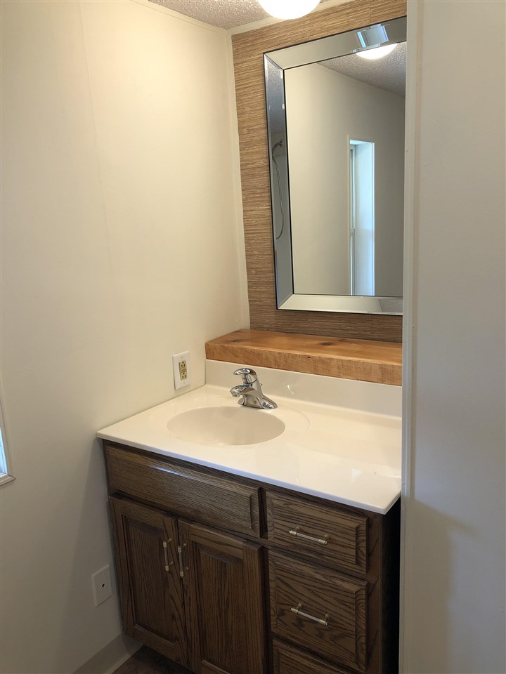 1676 Whitney Road Franklin Grove, IL 61031 - Photo 15 of 28 a bathroom with a sink and a mirror