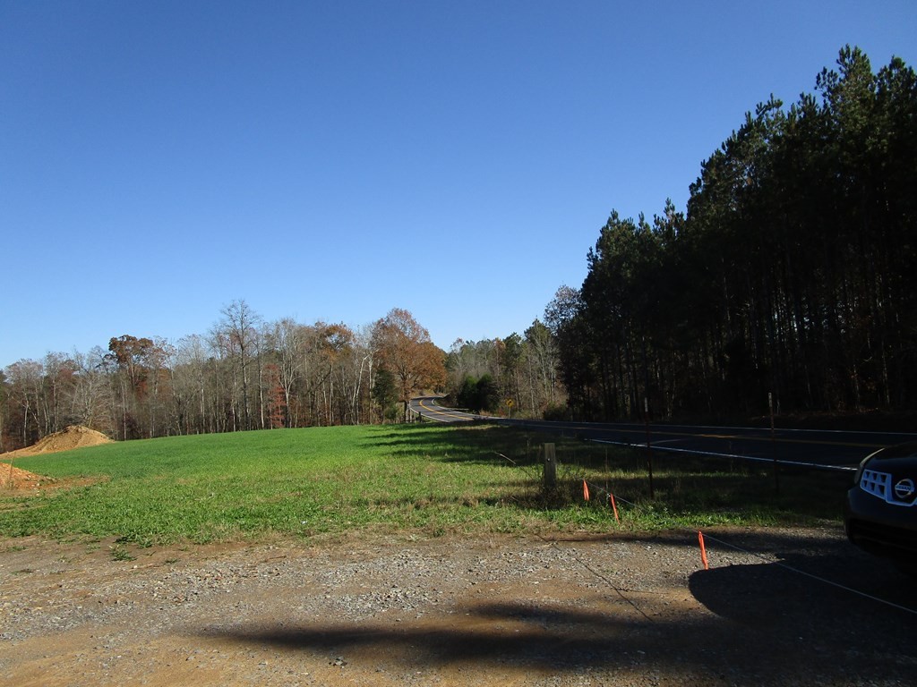 0 Hwy 163 Riceville Tn 37370 Riceville, TN 37370 - Photo 5 of 11
