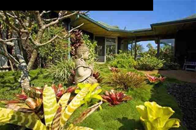 491 North Honokala Road Haiku, HI 96708 - Photo 1 of 25 a view of a backyard