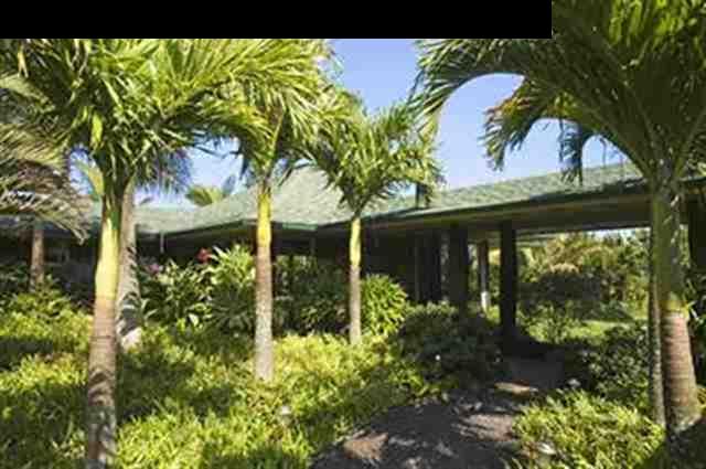 491 North Honokala Road Haiku, HI 96708 - Photo 3 of 25 a view of a garden from a window