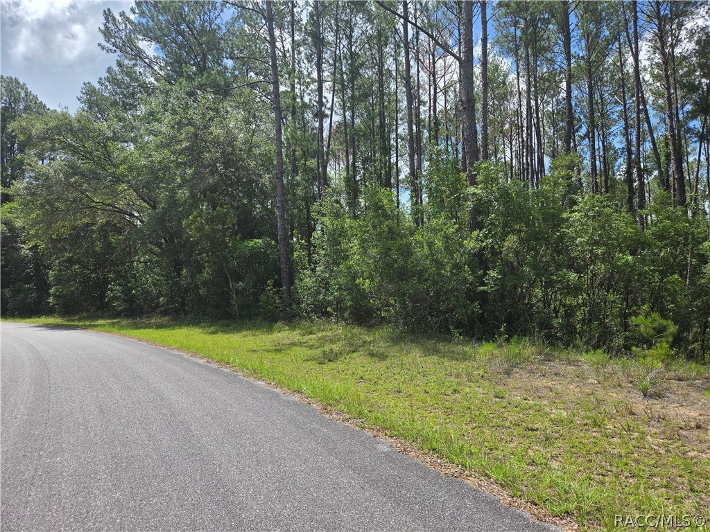 8826 North Irondale Road Dunnellon, FL 34434 - Photo 3 of 4