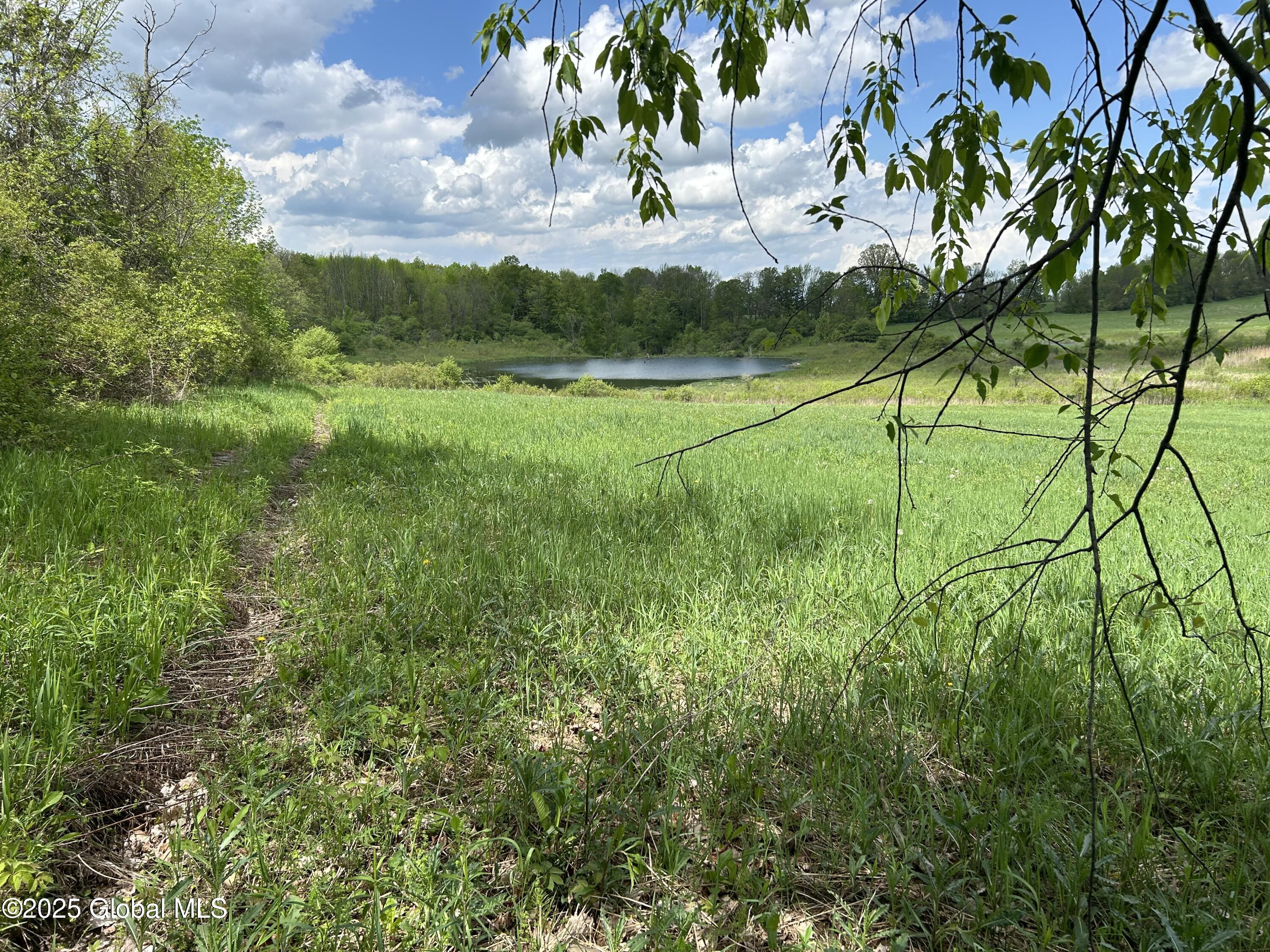 103 Franklin Bellinger Road Seward, NY 13459 - Photo 11 of 19 top of west field