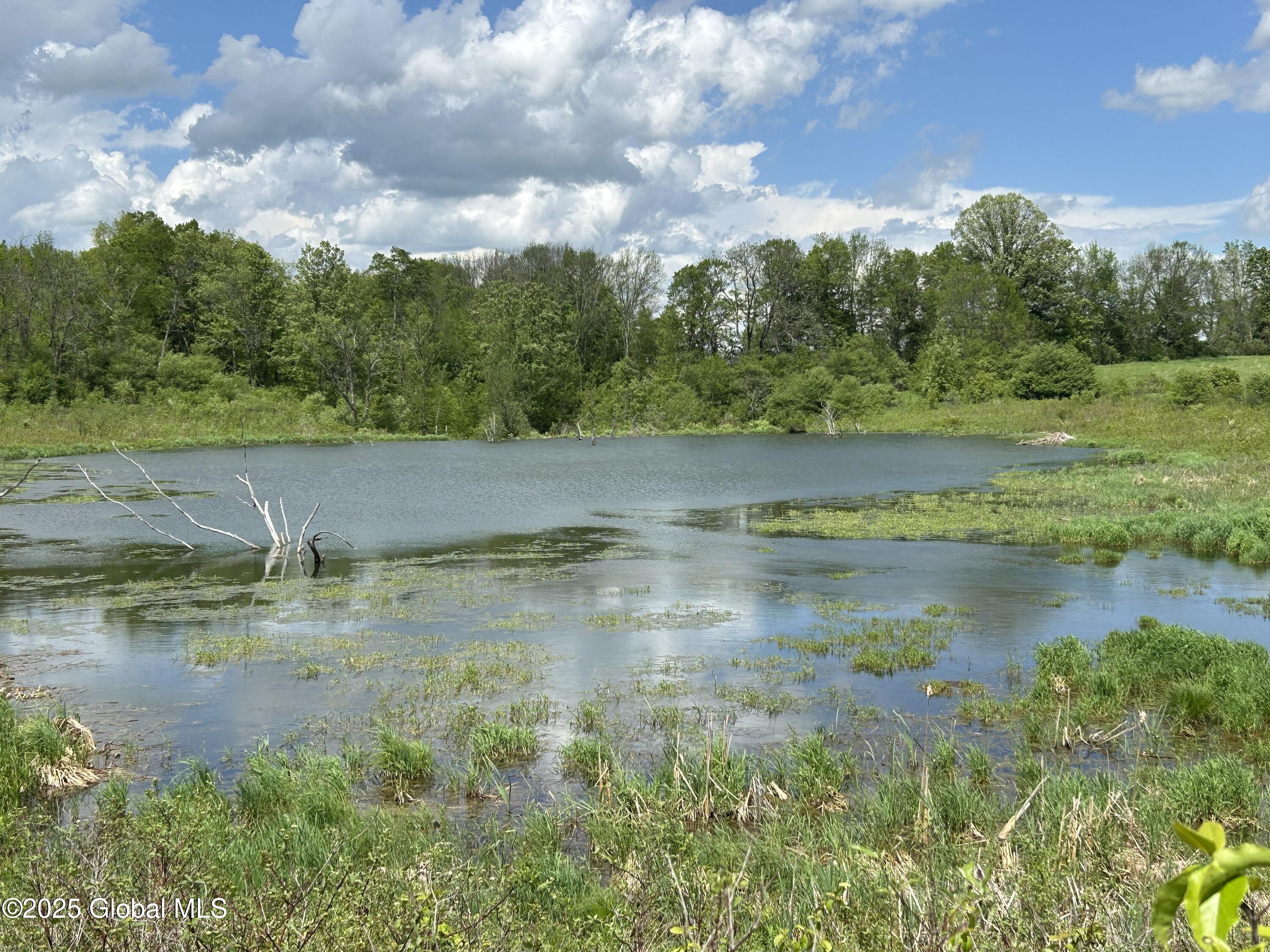 103 Franklin Bellinger Road Seward, NY 13459 - Photo 12 of 19 largest pond