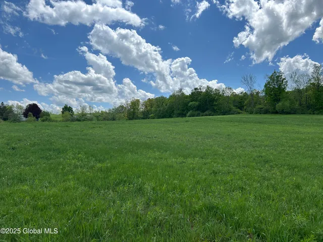 $99,000 | 103 Franklin Bellinger Road, Seward, NY 13459