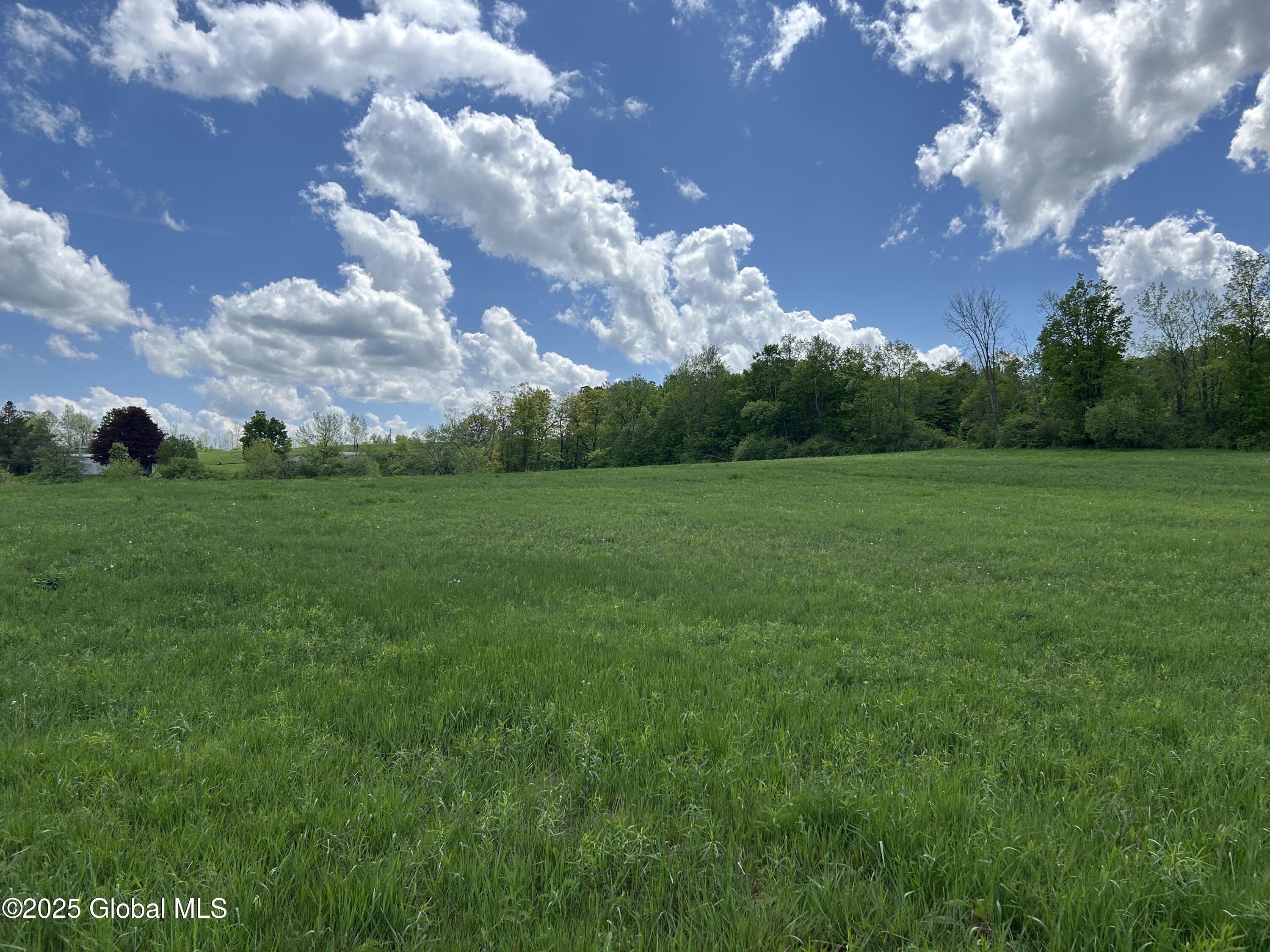 103 Franklin Bellinger Road Seward, NY 13459 - Photo 13 of 19 west field