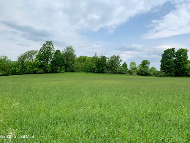 $99,000 | 103 Franklin Bellinger Road, Seward, NY 13459