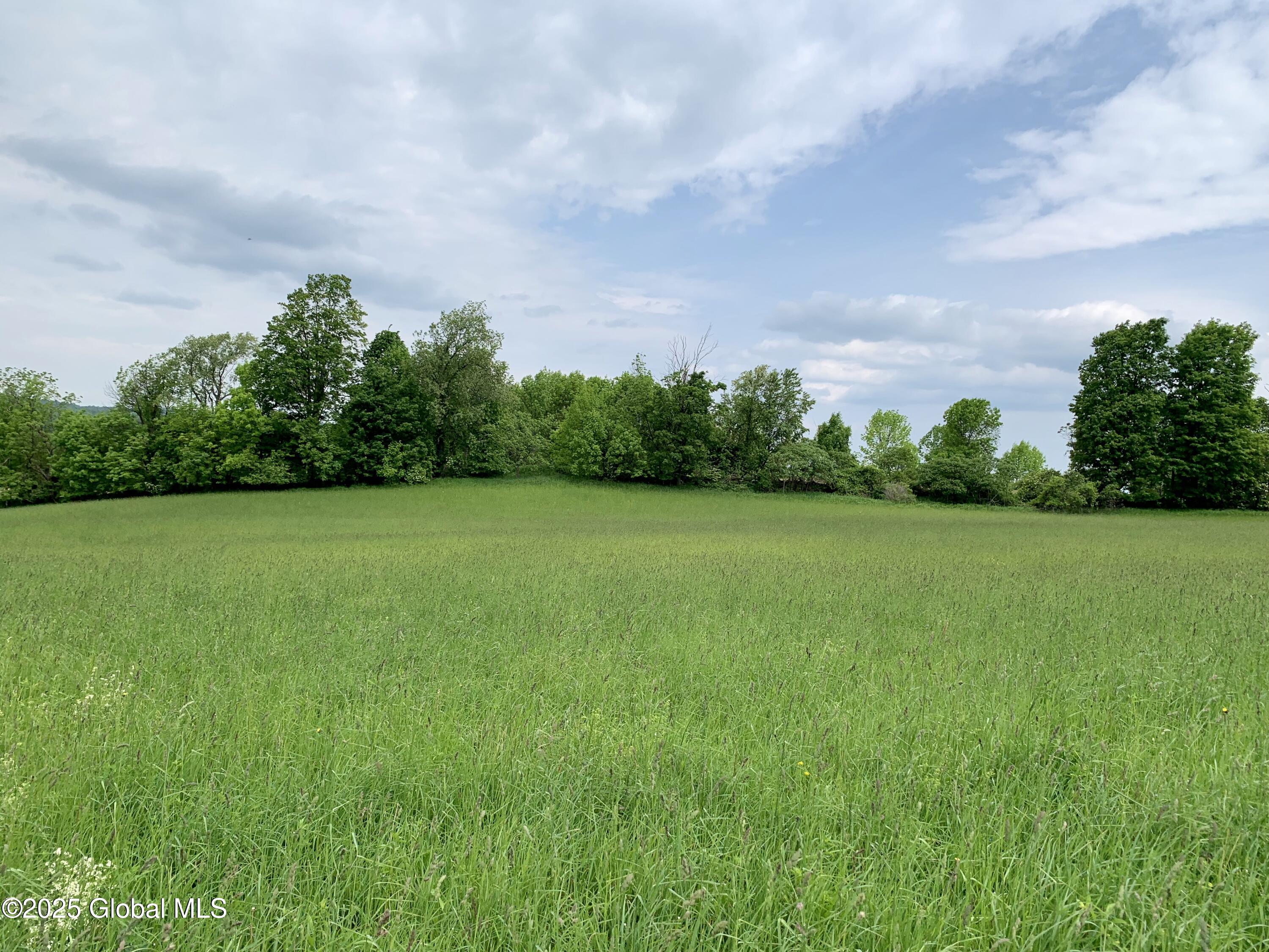 103 Franklin Bellinger Road Seward, NY 13459 - Photo 14 of 19 Lot 5 field