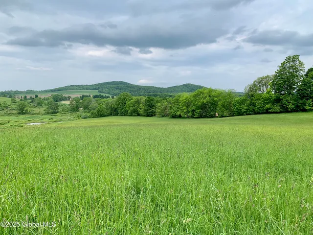 $99,000 | 103 Franklin Bellinger Road, Seward, NY 13459