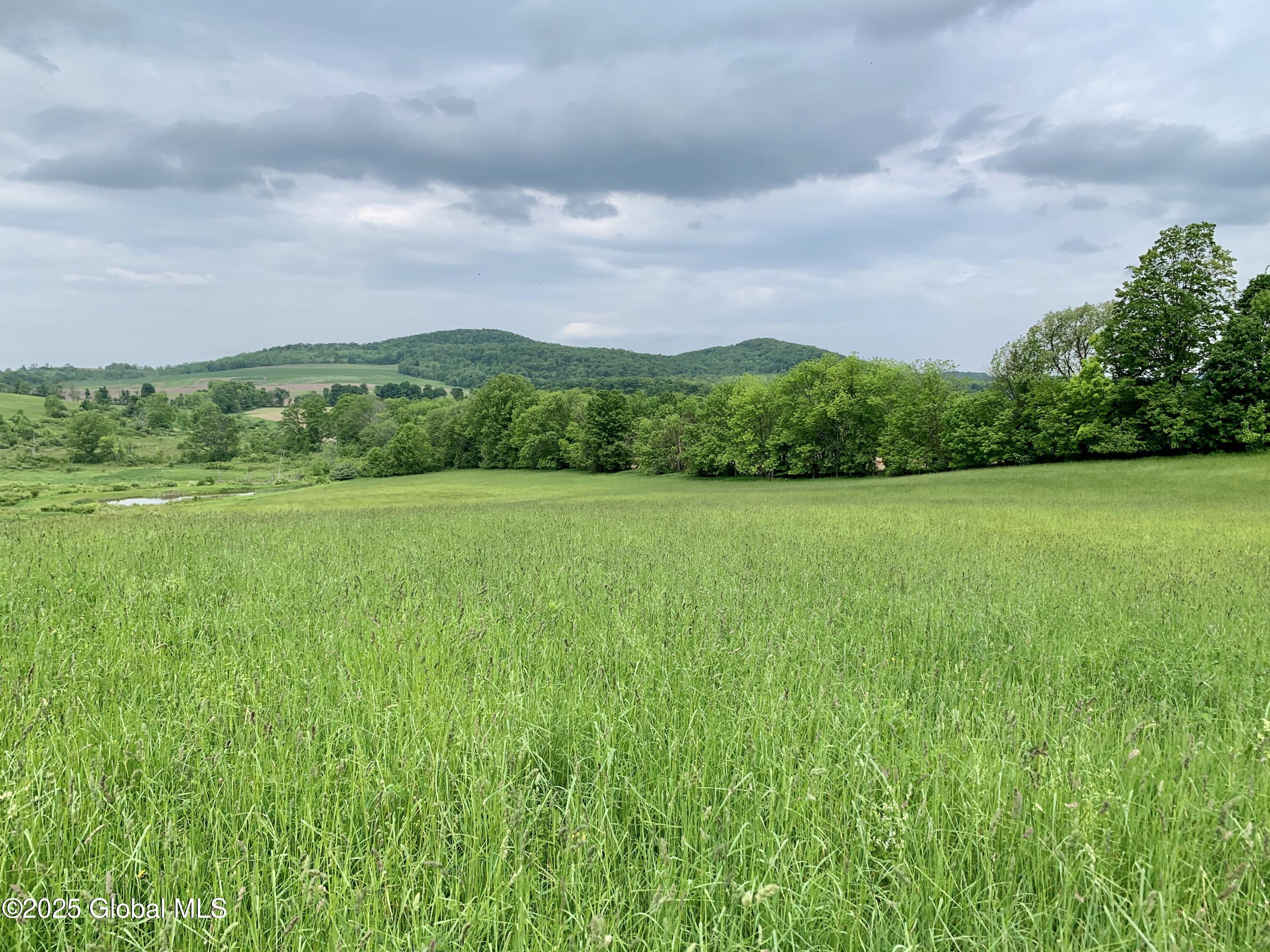 103 Franklin Bellinger Road Seward, NY 13459 - Photo 15 of 19 Lot 5 fields and ponds