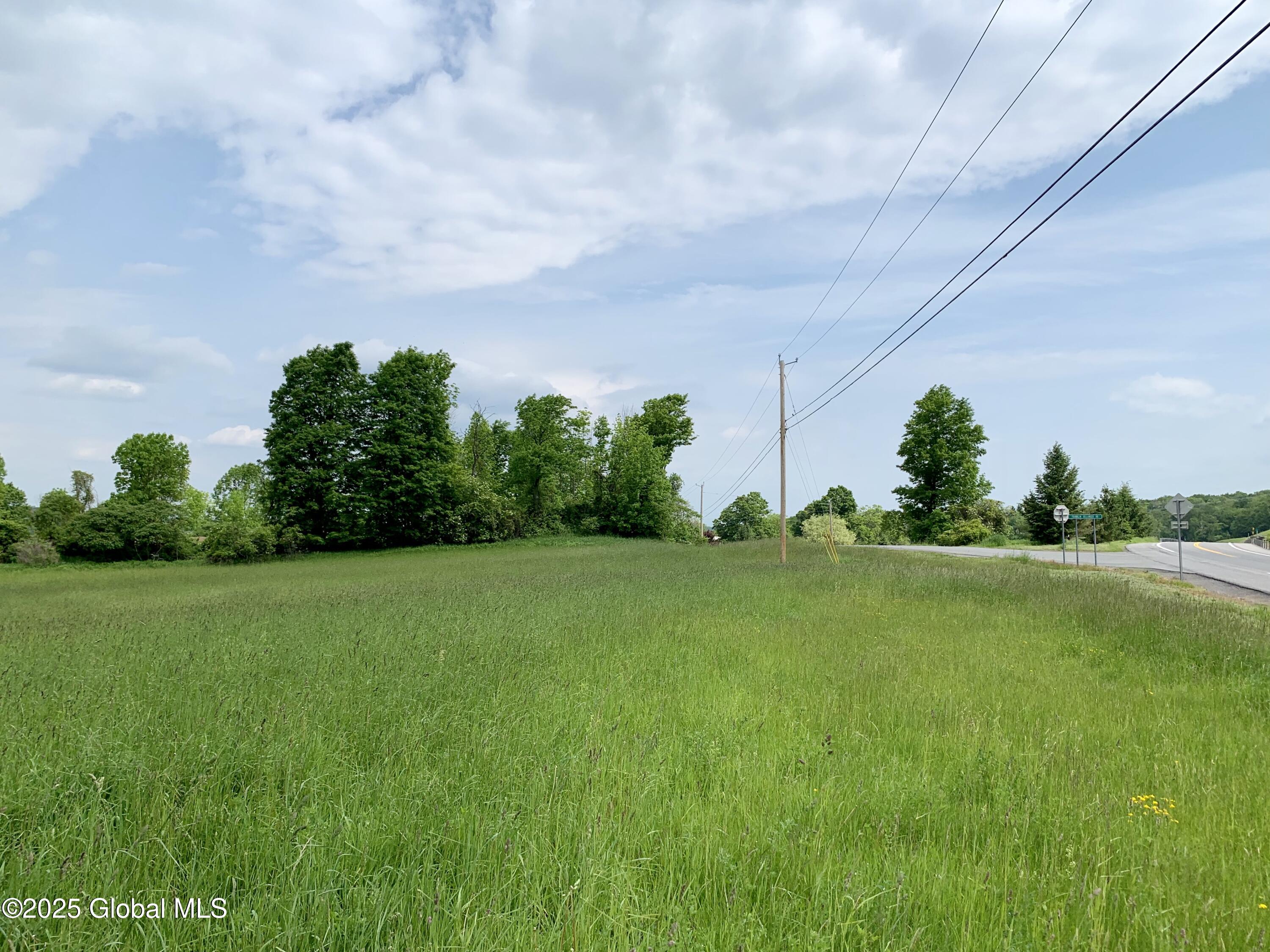 103 Franklin Bellinger Road Seward, NY 13459 - Photo 16 of 19 Lot 5 level spot