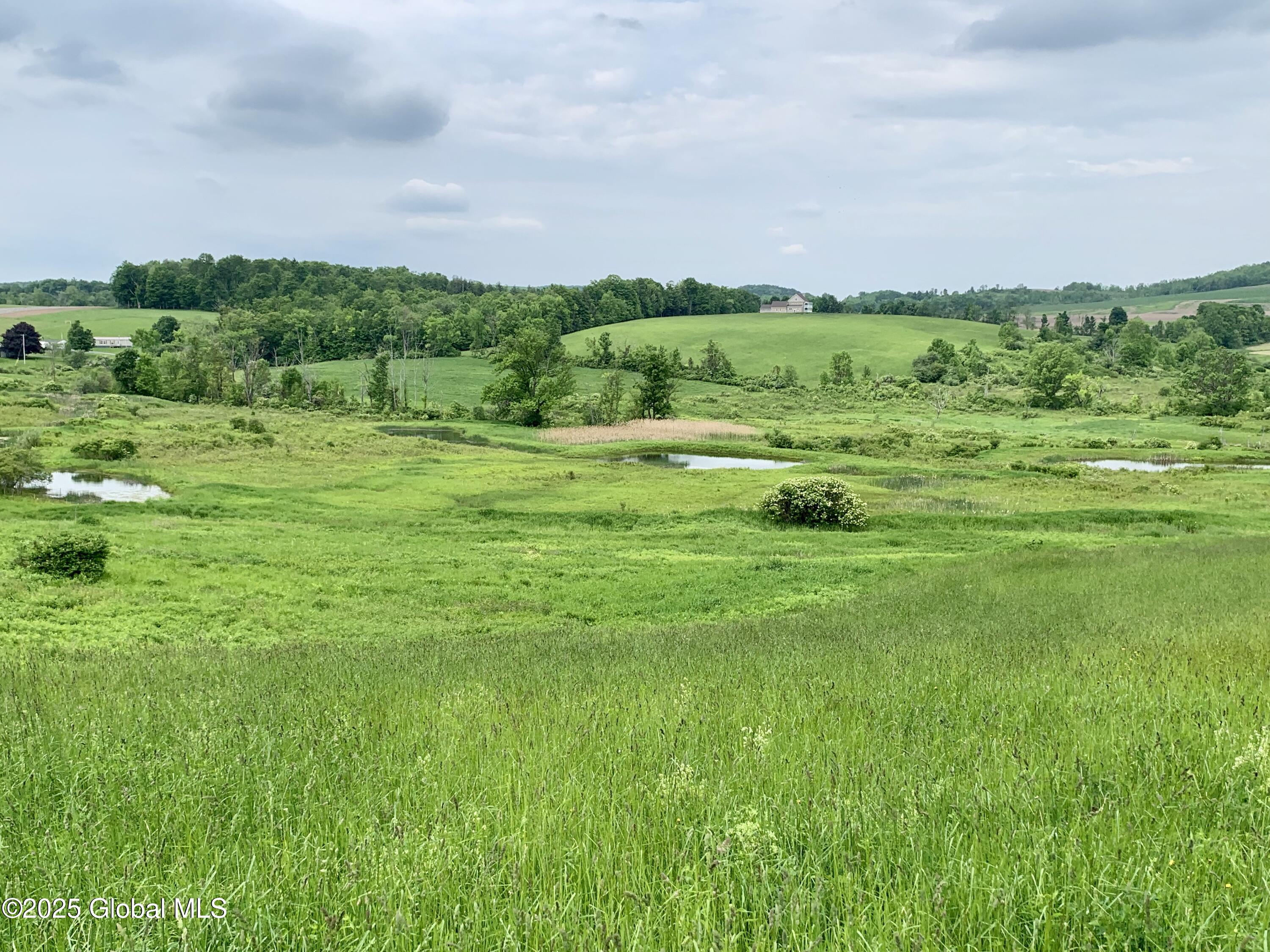 103 Franklin Bellinger Road Seward, NY 13459 - Photo 17 of 19 Lot 5 ponds