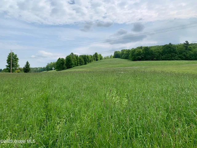 $99,000 | 103 Franklin Bellinger Road, Seward, NY 13459