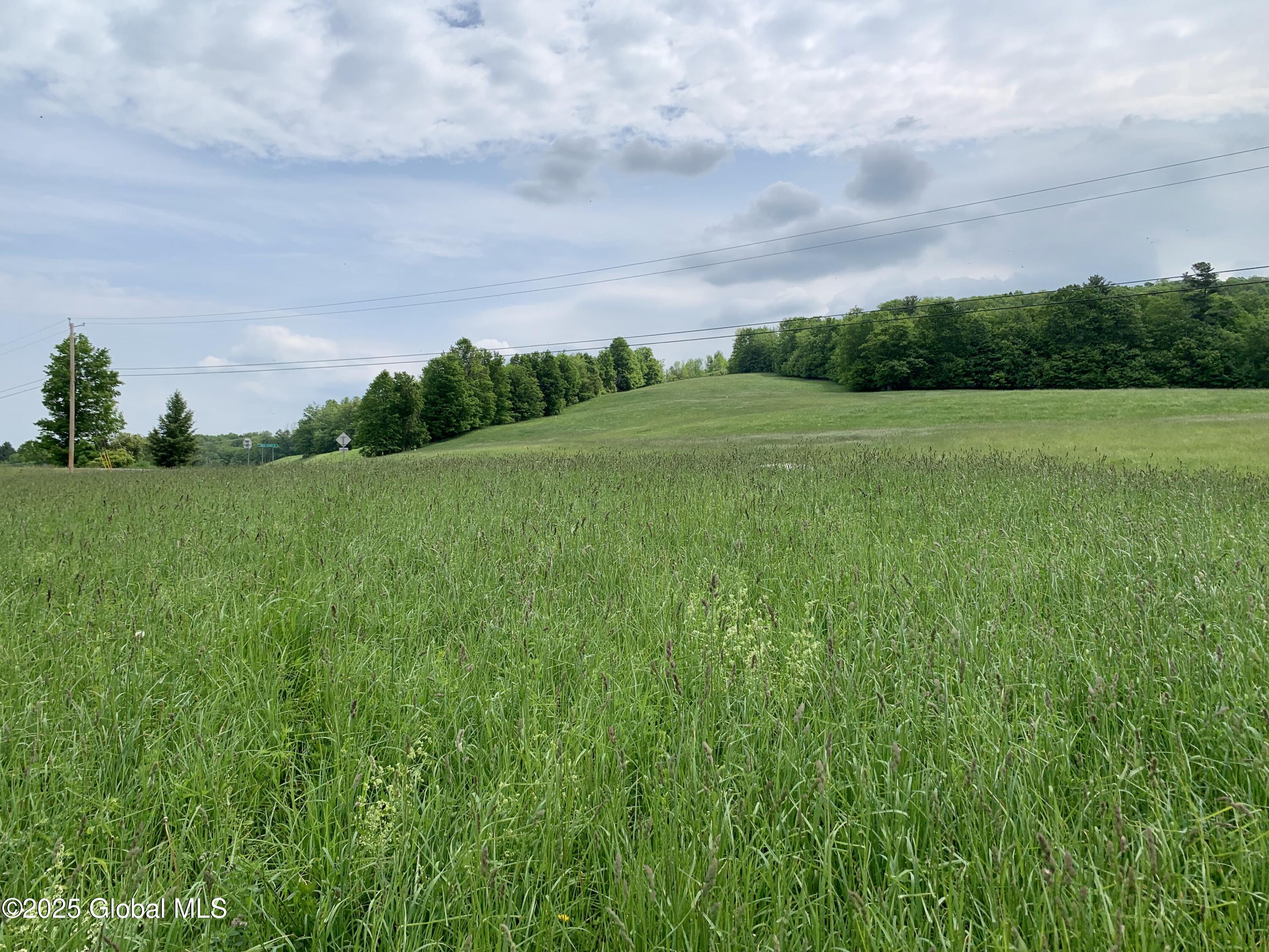 103 Franklin Bellinger Road Seward, NY 13459 - Photo 18 of 19 Lot 5 towards road