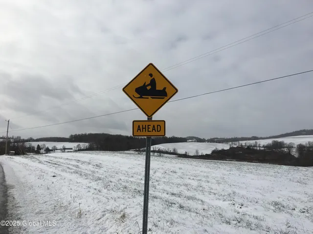 $99,000 | 103 Franklin Bellinger Road, Seward, NY 13459