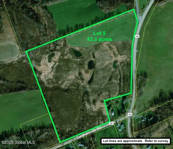 $99,000 | 103 Franklin Bellinger Road, Seward, NY 13459