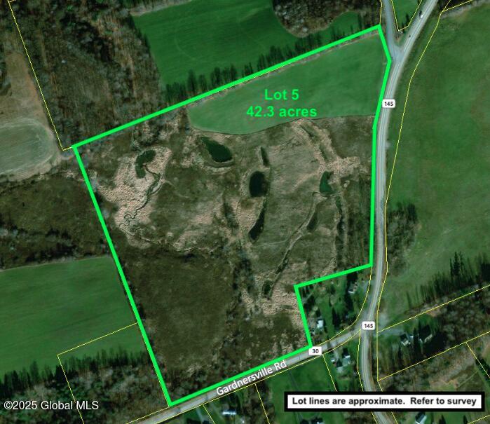 103 Franklin Bellinger Road Seward, NY 13459 - Photo 2 of 19 Lot 5 Rt 145 Aerial