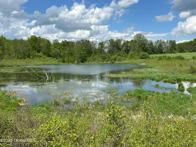 $99,000 | 103 Franklin Bellinger Road, Seward, NY 13459