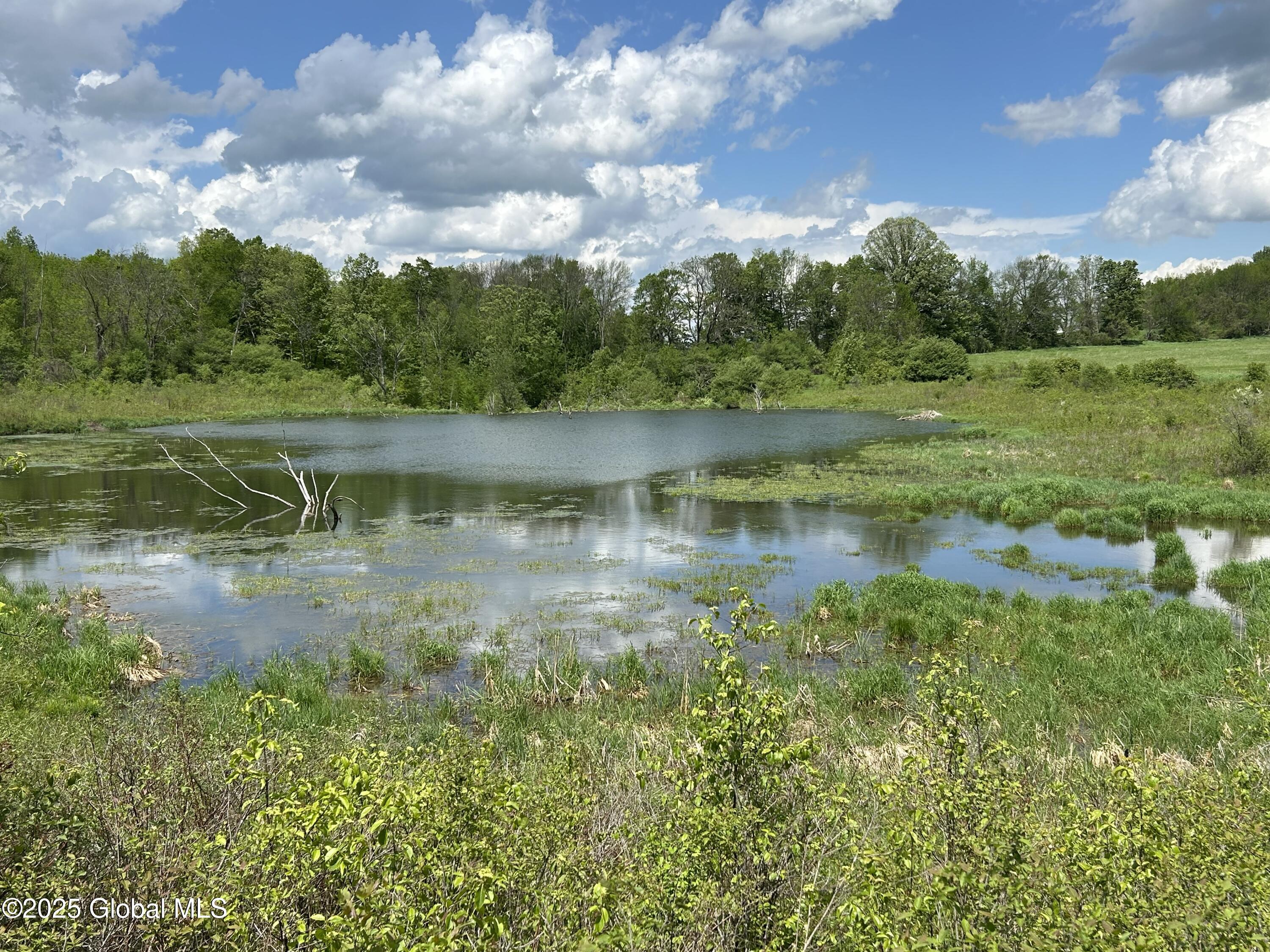 103 Franklin Bellinger Road Seward, NY 13459 - Photo 4 of 19 largest pond