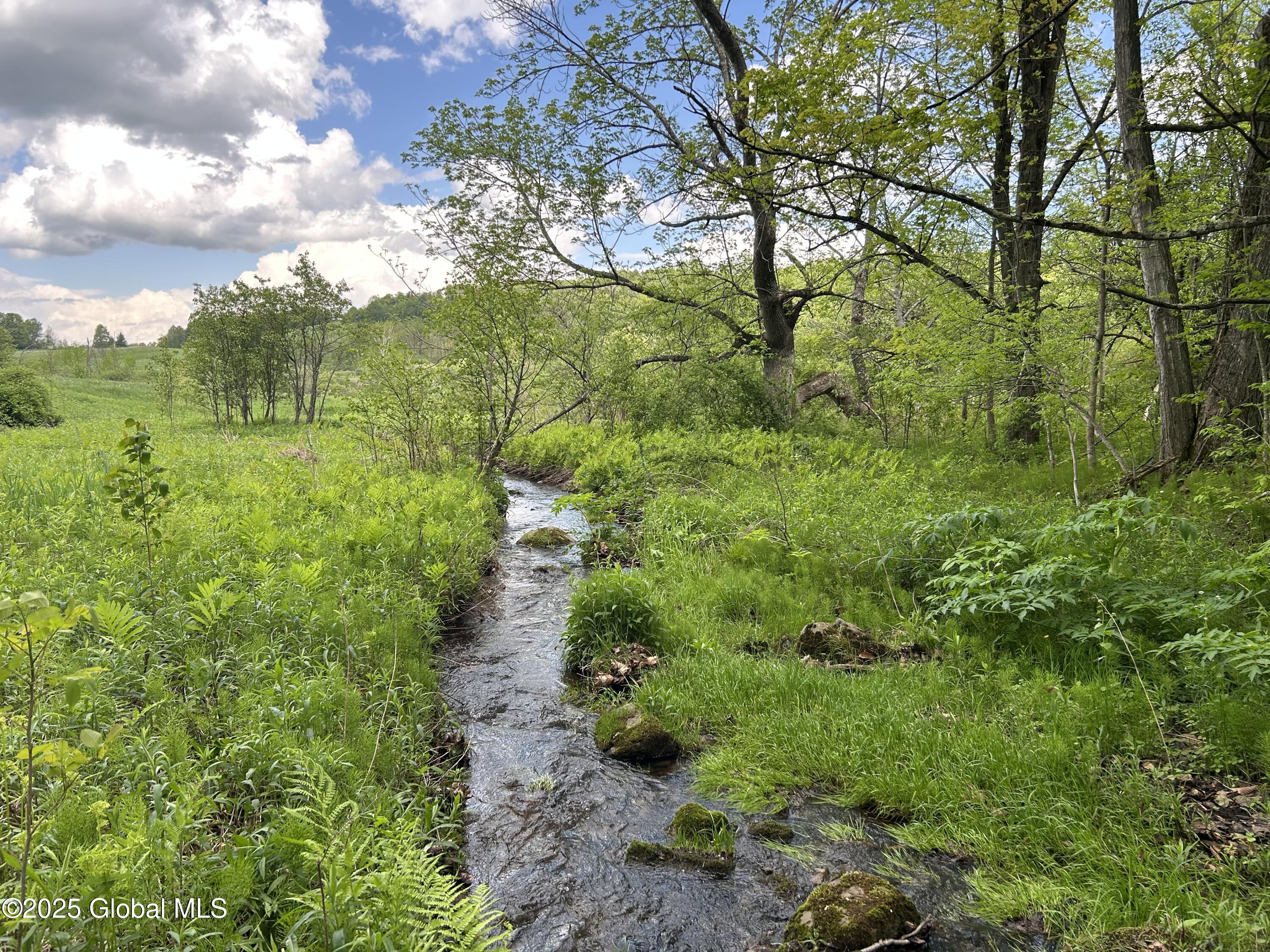 103 Franklin Bellinger Road Seward, NY 13459 - Photo 5 of 19 creek