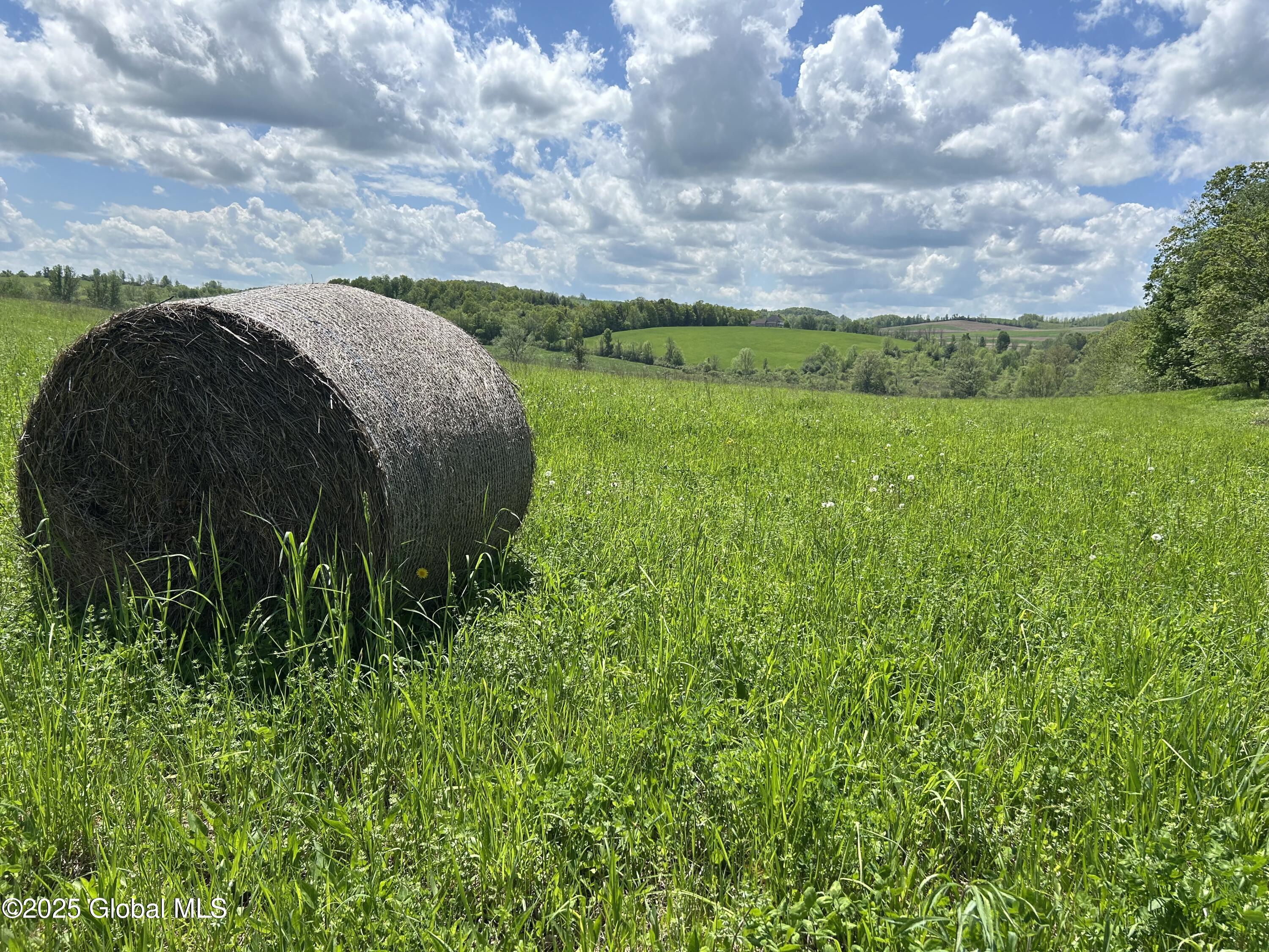 103 Franklin Bellinger Road Seward, NY 13459 - Photo 6 of 19 hay field