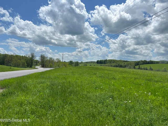 $99,000 | 103 Franklin Bellinger Road, Seward, NY 13459