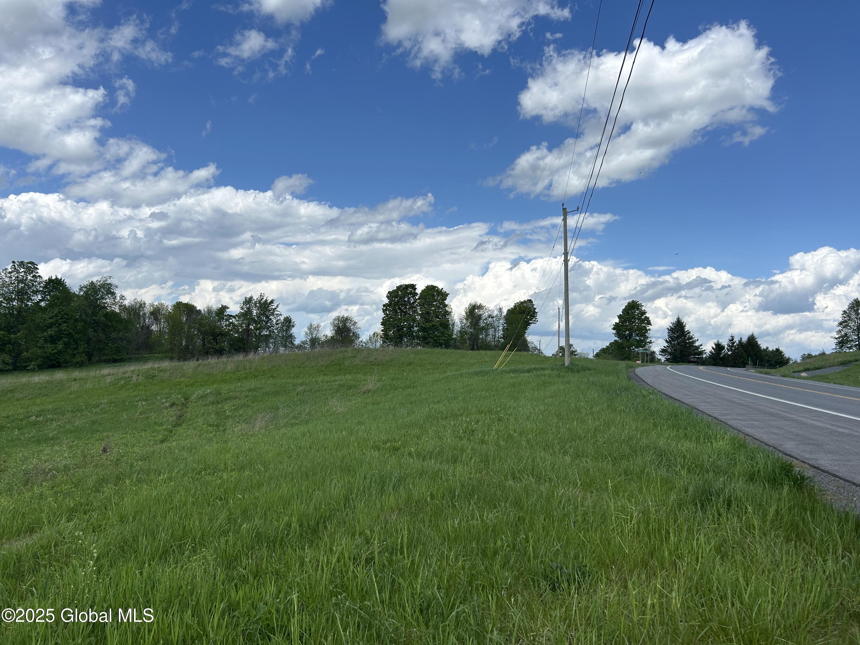 103 Franklin Bellinger Road Seward, NY 13459 - Photo 8 of 19 road frontage 145 2