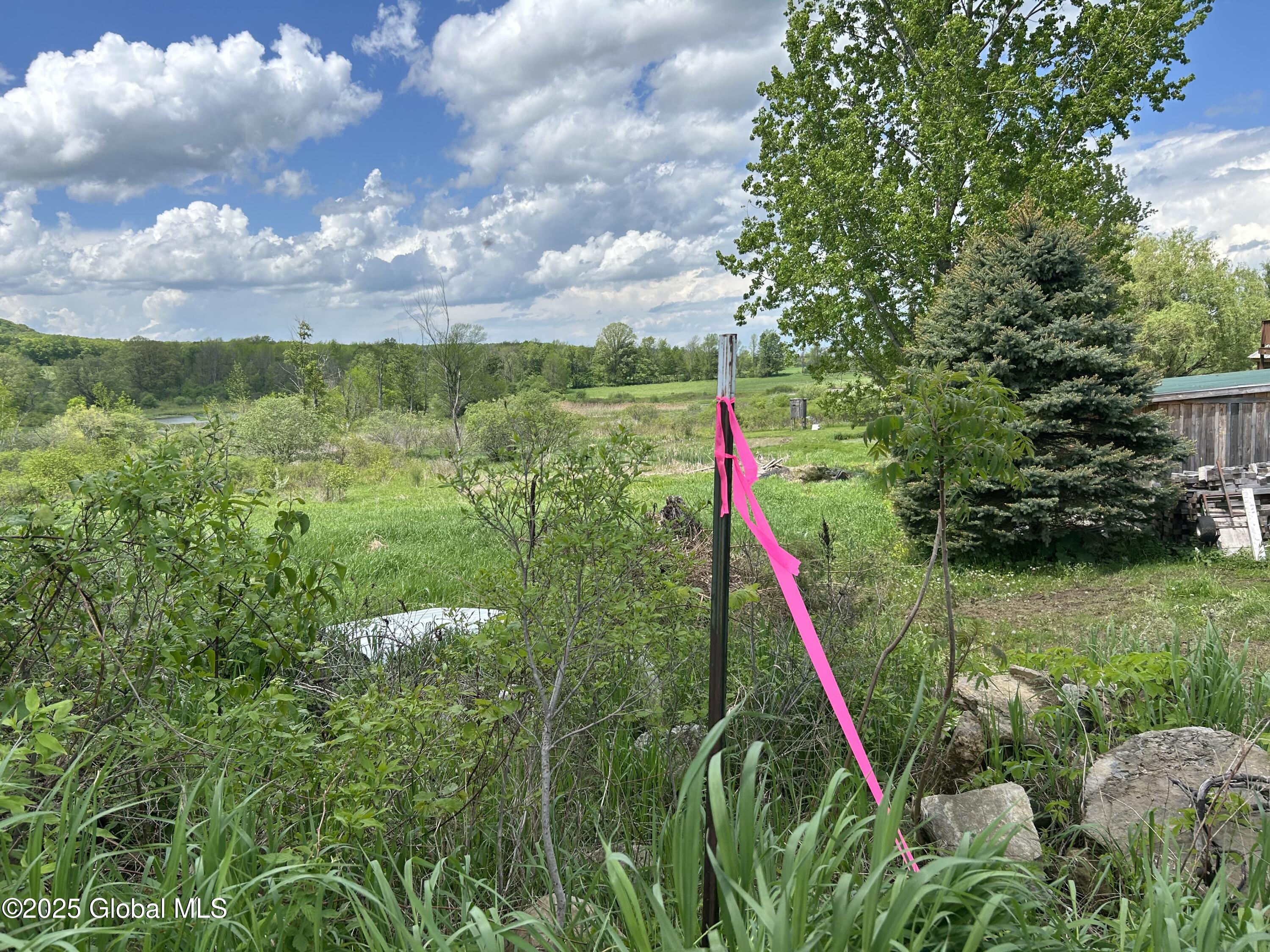 103 Franklin Bellinger Road Seward, NY 13459 - Photo 9 of 19 one corner pin