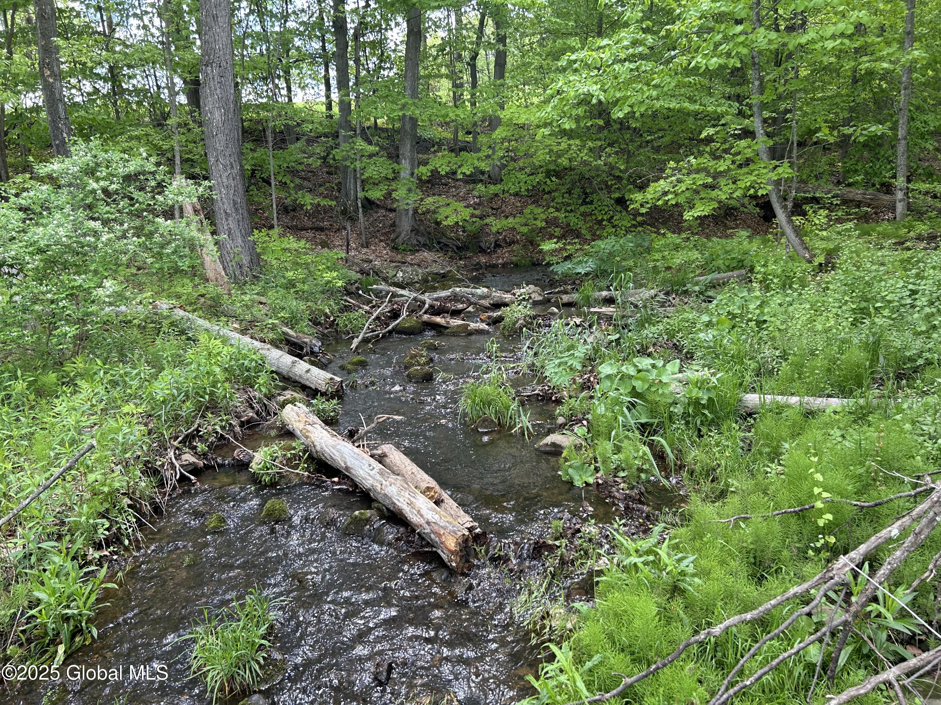 103 Franklin Bellinger Road Seward, NY 13459 - Photo 10 of 19 creek from woods
