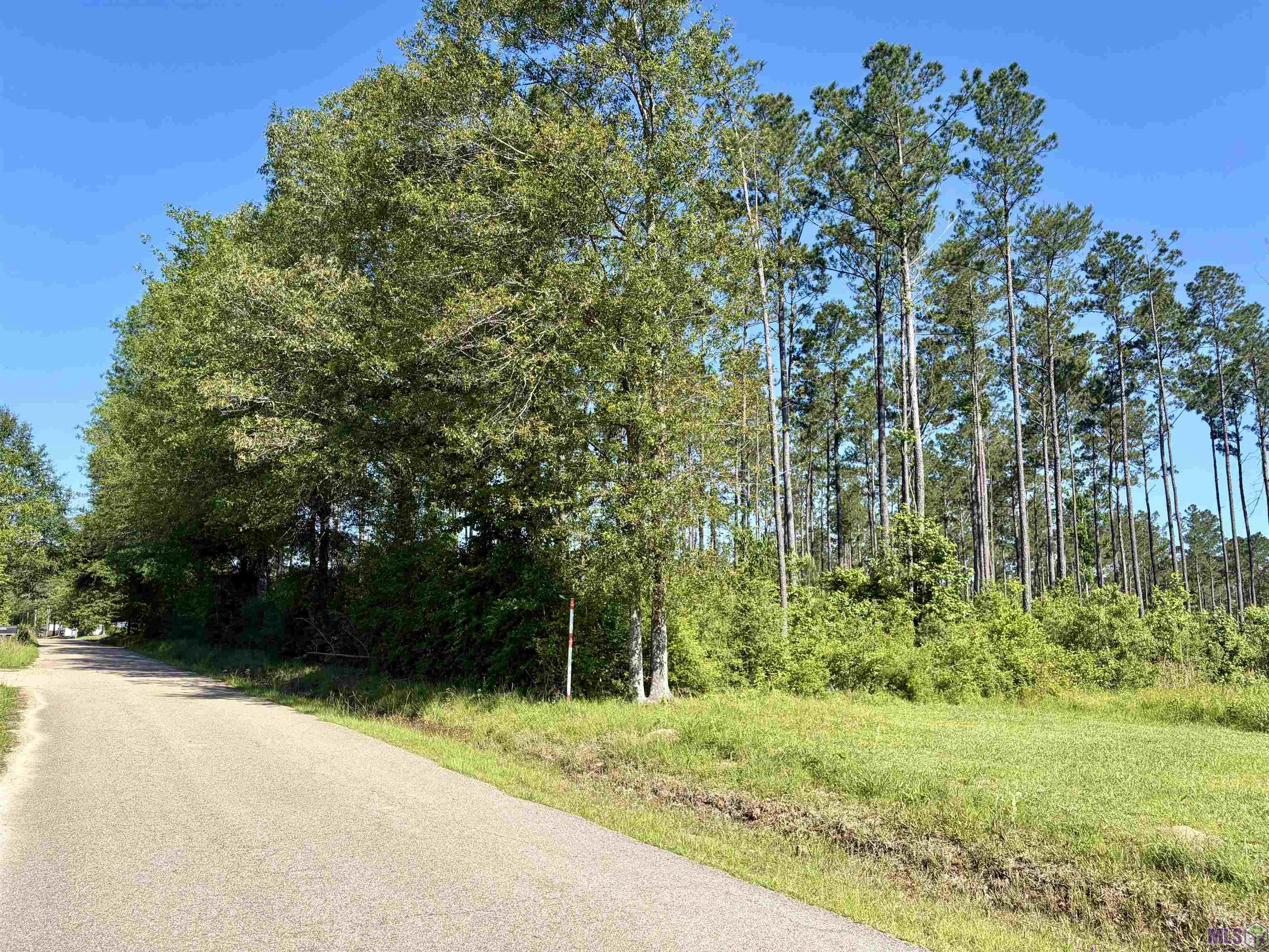 14936 Pace Road Clinton, LA 70722 - Photo 3 of 7 Gallery Image 3