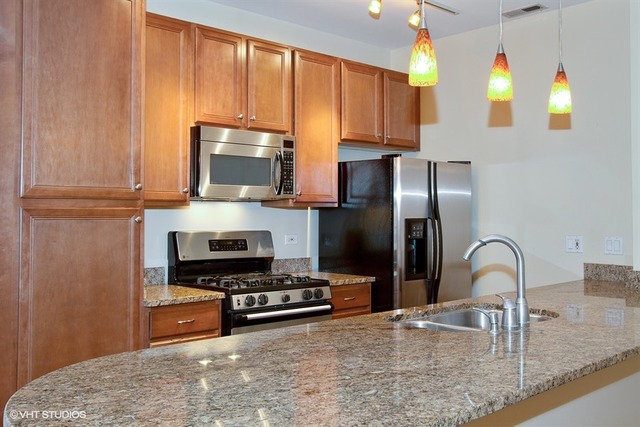 1450 South Halsted Street, Unit 1A Chicago, IL 60607 - Photo 5 of 11 a kitchen with stainless steel appliances granite countertop a stove a sink and a microwave