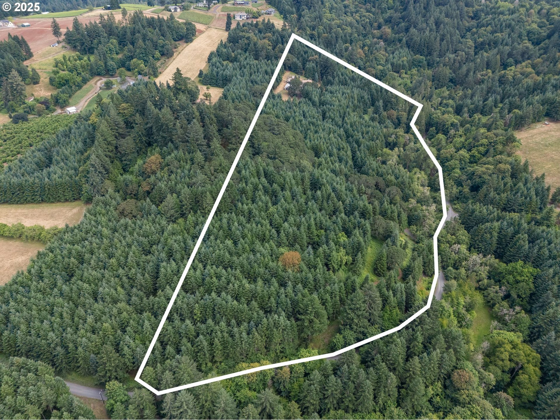 19791 Northeast Sunnycrest Road Newberg, OR 97132 - Photo 39 of 40