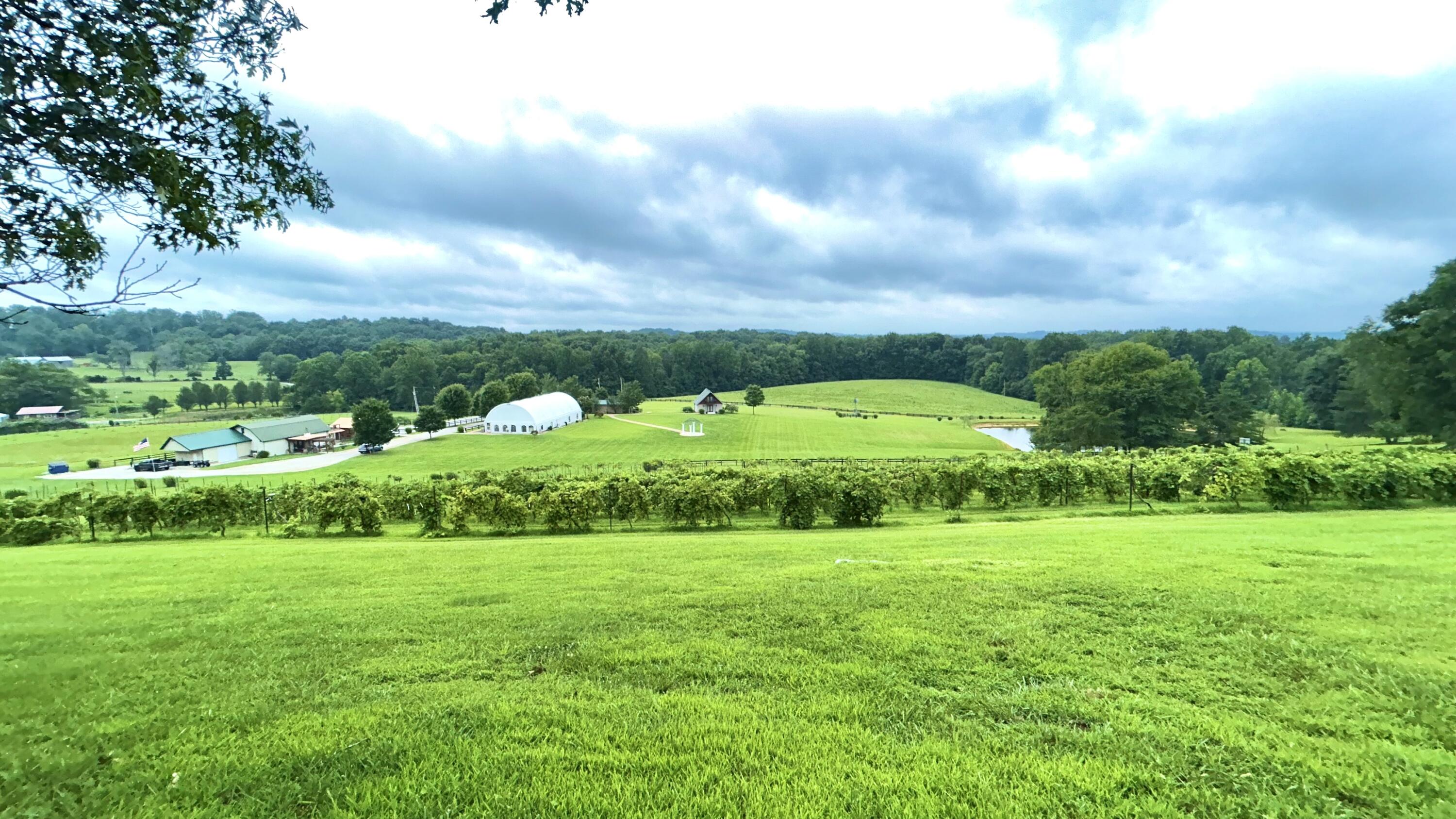 45 Cave Hill Road Eubank, KY 42567 - Photo 27 of 135 IMG_8911